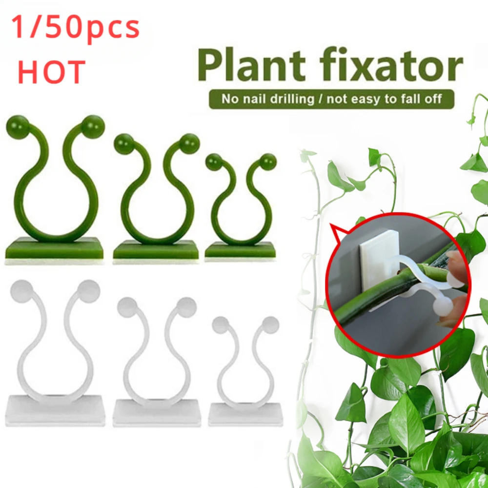 Wall Anchor Plastic - 1/30/50 ชิ้นสําหรับอุปกรณ์สวนพืชสวนหม้อ & Planters ปีนกําแพงกลางแจ้ง Decors