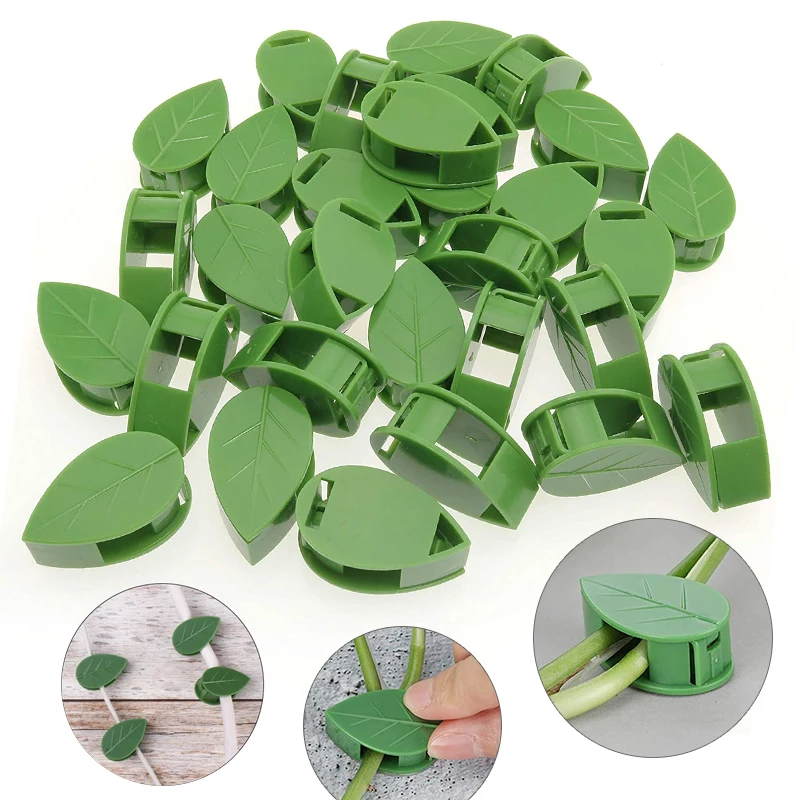 1-50 ชิ้นที่มองไม่เห็นพืชผนังอ - Wall Anchor Plastic บทวิจารณ์และราคา